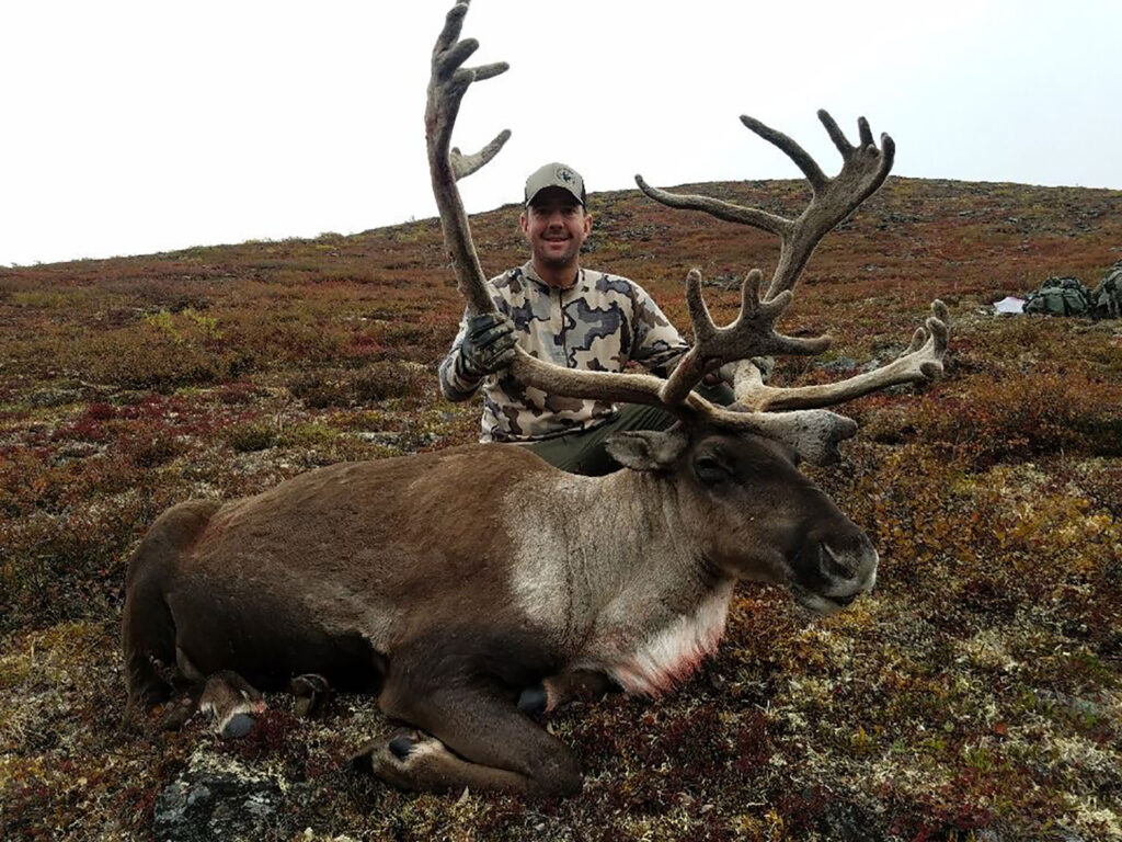 Caribou - Big Game Back Country Guides